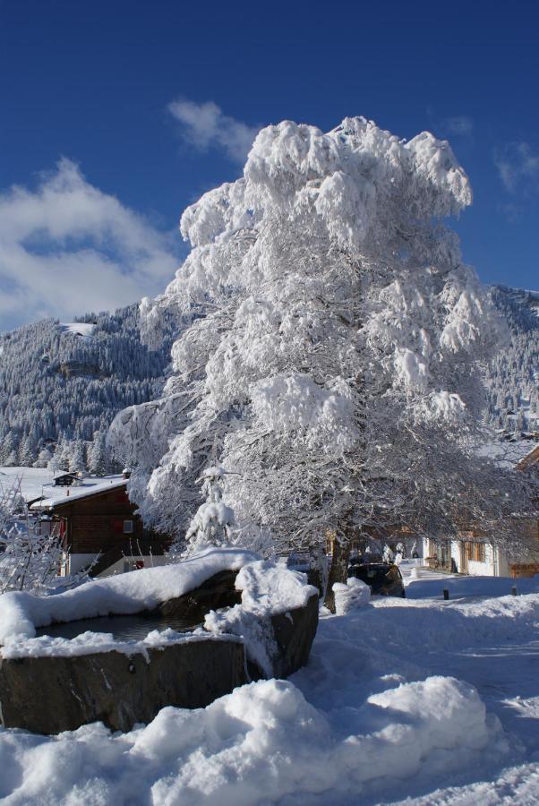 Hotel Ferien- Und Alpina Adelboden