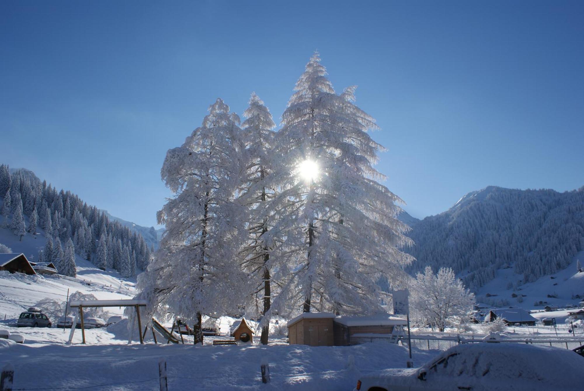 Ferien- Und Alpina Adelboden
